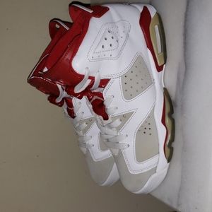 Retro Air Jordan  6's